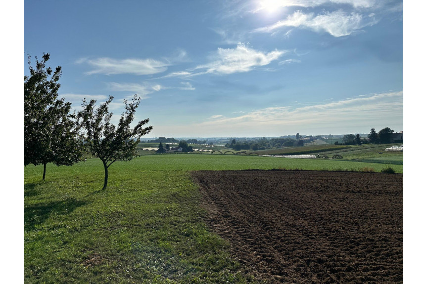 proszowicki, Koniusza, Glewiec, Działka budowlano rolna  / dom do remontu